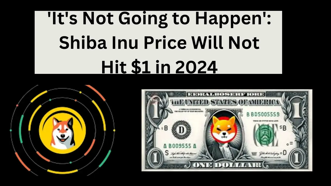 'It's Not Going to Happen': Shiba Inu Price Will Not Hit $1 in 2024